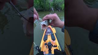 Ghost hook set😂 #fishing #sittingonthedockofthebay #bassfishing #bassfeatured #fish