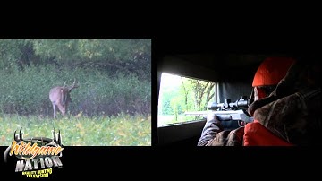 White Tail Deer Hunting Action With CVA Accura From CVA