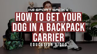 How To Get Your Dog In A Backpack Carrier  K9 Sport Sack