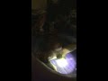 Tribe Midwifery Home Birth -  Rahjah