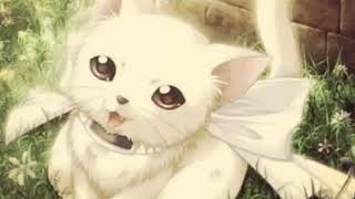 Nightcore Sommerregen Joris