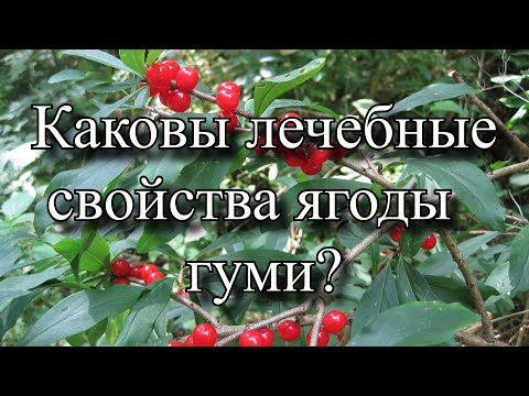 Видео: Колко трябва да платите за гуми?