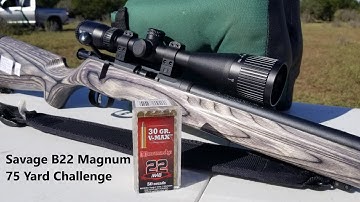 Cover Image for Savage B22 Magnum Challenge