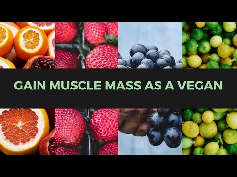 How to gain muscle mass as a vegan with a vegetarian quick bodybuilding diet plan  @HealthWebVideos