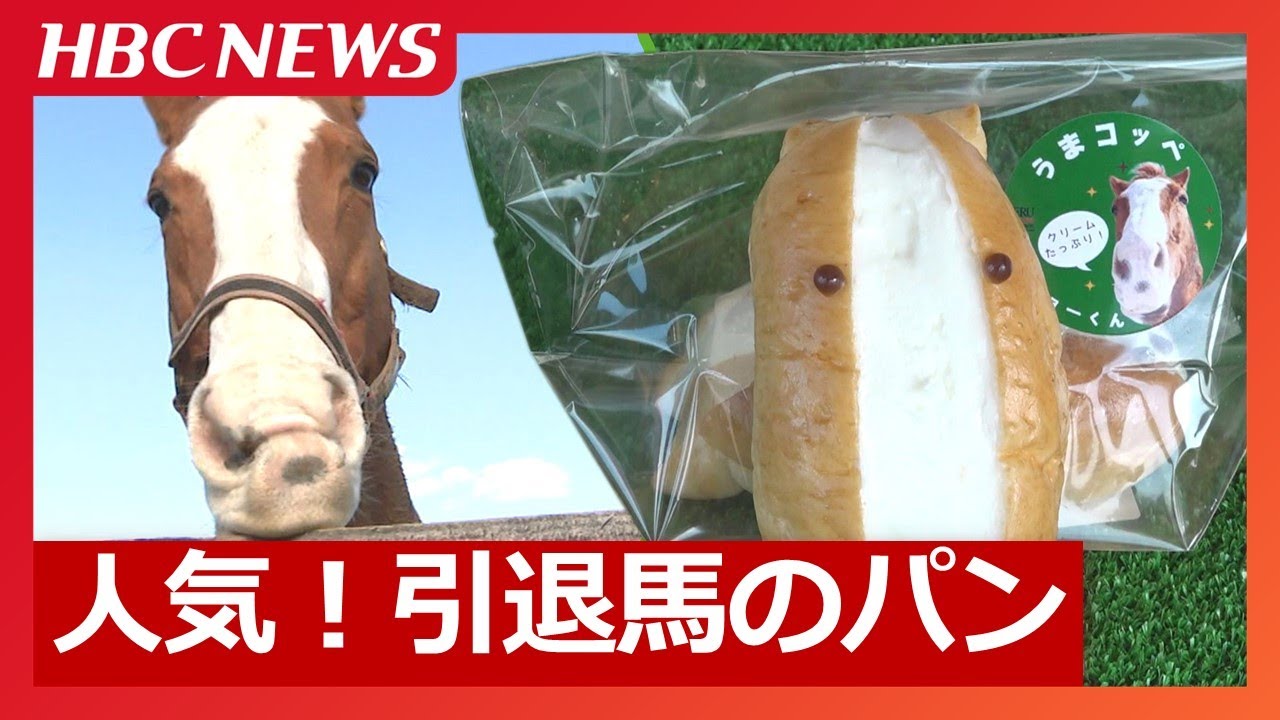 モデルの引退馬と瓜二つ「うまコッペ」経営難の菓子店が起死回生の大繁盛“うまてなし”馬産地を元気に「馬×ネコ」もSNSで大人気