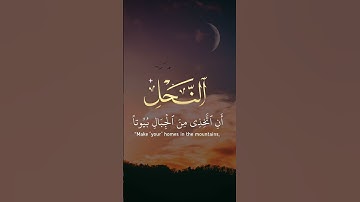 الآية 67 من سورة النحل بصوت الشيخ عبد الباسط عبد الصمد رحمه الله