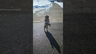 Maycie In Slow Motion Part 6