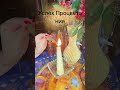 #любовь #таро #онлайгадание #биополе #tarot #диагностикатаро #гадание #тарологпроводник #рождество