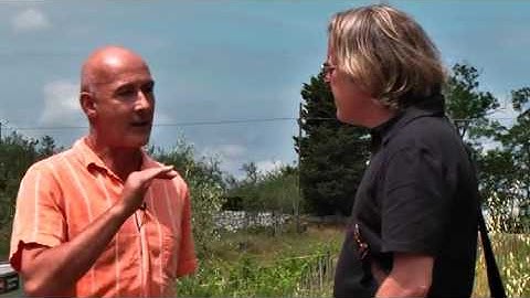 JAMESSUCKLING.COM - Chianti Classico - Castello di Rampolla - The Vineyard