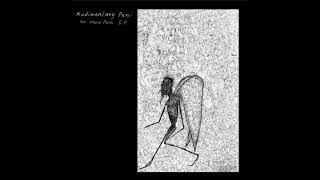 Rudimentary Peni - The Death of the Author