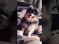 Fly high tannie, you’ll be missed, my heart is with taehyung right now #yeontan #taehyung #btsshorts