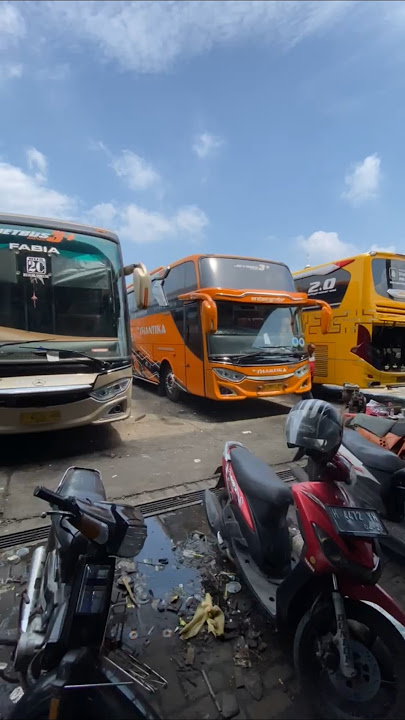 Ramainya Garasi New Shantika Papringan Kudus #newshantika #shantika #busmania #shortvideo