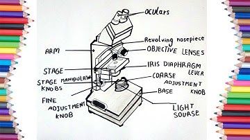HOW TO DRAW MICROSCOPE