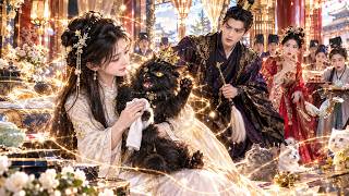 I Rescued a Stray Black Cat… Turns Out He’s the Emperor?! 🐈⬛👑#film #drama