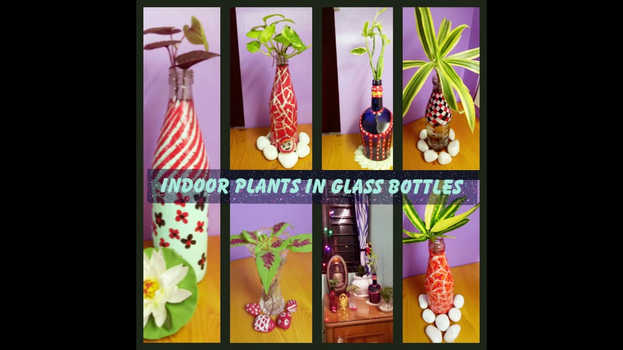 Best & Creative Way To Grow Plants In USED Glass Bottles/ How to make an Indoor WATER Garden At