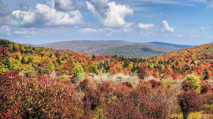When to expect fall colors to peak