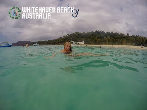 Video: 11 Fotografii Curat De Whitehaven Beach, Australia - Matador Network
