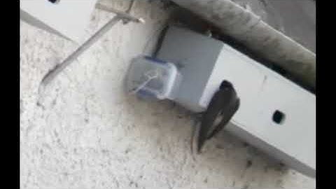 Swifts inspecting nestbox