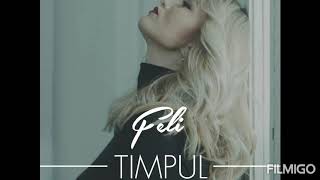 Feli - Timpul (versuri/lyrics)