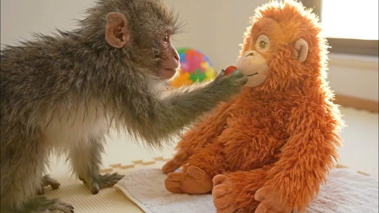 Baby Punch the monkey is so cute! Having food always reminds me of the plush monkey.