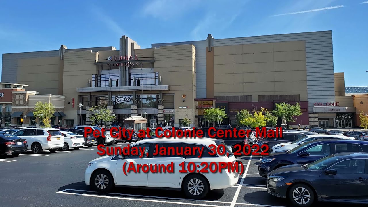 Pet City at Colonie Center Mall January 30, 2022 YouTube