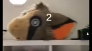 how people become furries