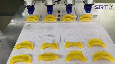 SRT Soft Robot Tech Video #1