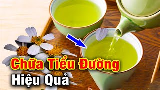 Phát Hiện Loại Cây Dại Là PHƯƠNG THUỐC QUÝ CHỮA TIỂU ĐƯỜNG Cực Tốt Được Hàng Triệu Người Tìm Kiếm Phát Hiện Loại Cây Dại Là PHƯƠNG THUỐC QUÝ CHỮA TIỂU ĐƯỜNG Cực Tốt Được Hàng Triệu Người Tìm Kiếm