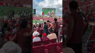 Did You Guys See Me?