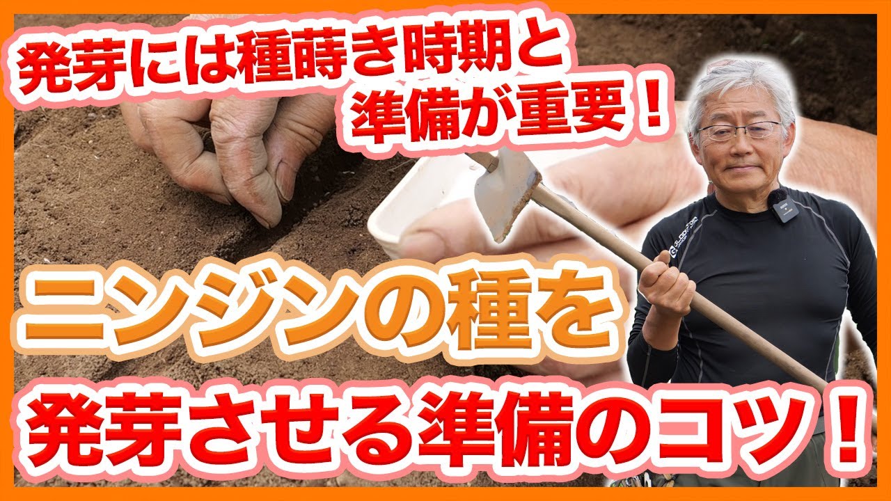 家庭菜園や農園のニンジン栽培で発芽は種まき時期と準備が重要！種を発芽させるコツとニンジンの育て方を徹底解説！【農家直伝】Tips for preparing to grow carrots.
