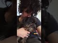 Orson cuddles #lp #music #rockstar #tour #musician #2022 #newyear