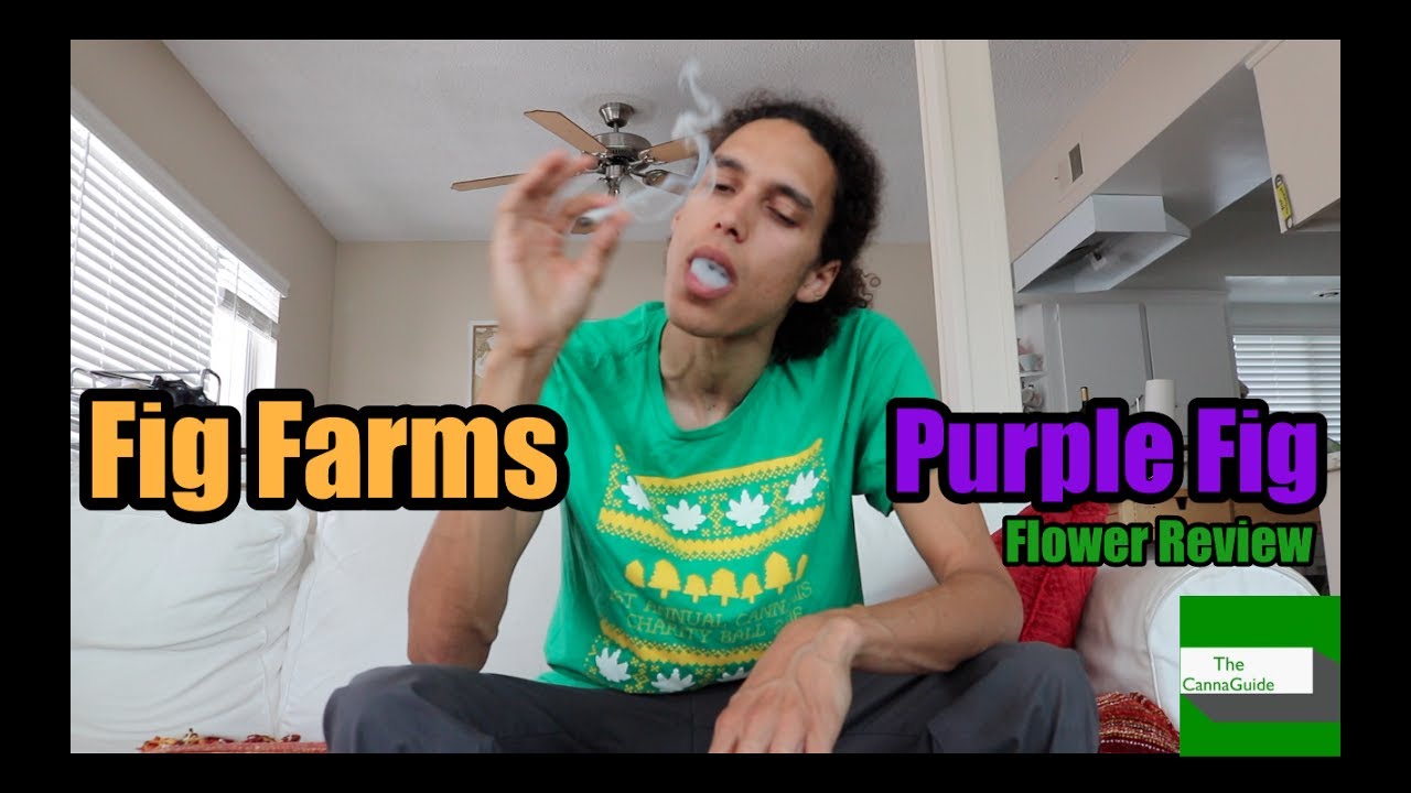 Purple Fig Flower Review (Chalice 2017)