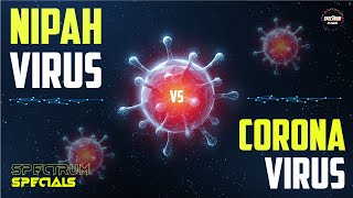 How Is Nipah Virus Different From Coronavirus? [Difference & Symptoms] | Spectrum Special