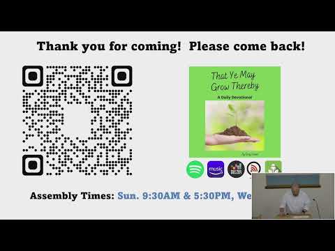 Video preview