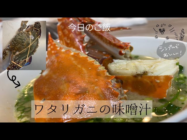 誰でもできる蟹味噌汁の作り方 蟹のオスとメスってどっちが美味しいの 生き物を半分に切る描写があるので苦手な方は閲覧注意 ワタリガニの味噌汁 ちょい飯 Youtube