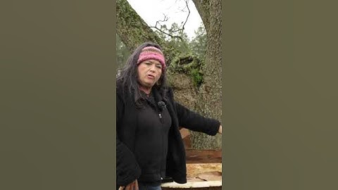 What You Need For Worm Composting