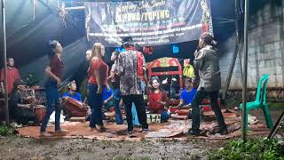 Download Lagu Lagu *Bingung Balik* - BUNGA LIGAR _ in walahir tonggoh , nambo MP3