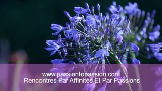 Dating By Affinity And Passions