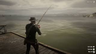 RDR2 - 20 minutes relaxing fishing and cooking in Blackwater. Caught a big fish. Ambient sounds.
