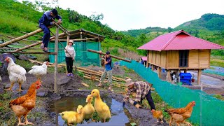 Building a life episode 61 | Prevent water, build hydroelectric power, make duck cages