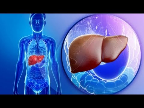 Как очистить печень за один день в домашних условиях? Как почистить печень?Аннада