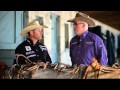 Introduction to Reined Cow Horse