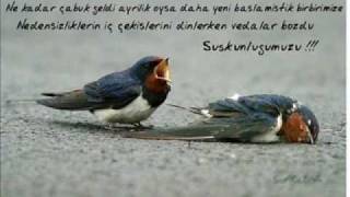 Olmasaydı Sonumuz Böyle Resimi