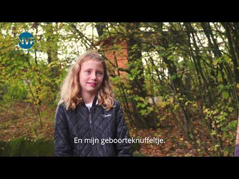 Video: Hoe bereid ik me voor op een pleegzorgonderzoek?