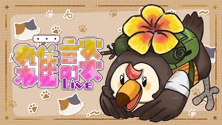 【直播】【雜談】雜談時間|來看看有什麼好聊天的話題【菜姬】
