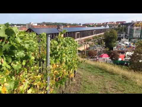 Video: Festival del vino in Germania