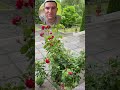 Они говорят ложь! Берегитесь их