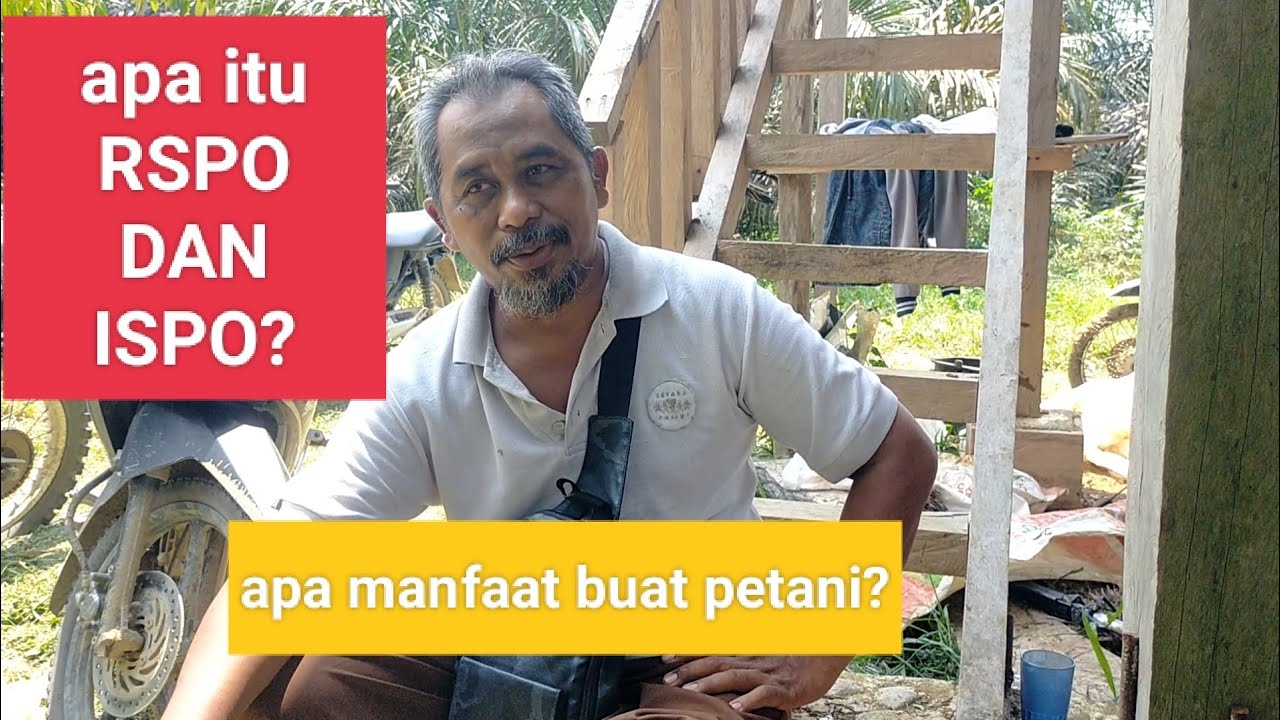 Memahami dan Mengoptimalkan BPK (Biaya Per Klik) di Google AdSense: Panduan Lengkap