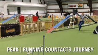 Peaks Agility Journey | Running Contacts