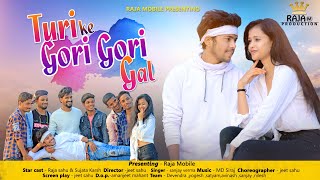 टुरी के गोरी गोरी गाल // TURI KE GORI GORI GAL // RAJA SAHU & SUJATA KARSH // SANJAY VERMA